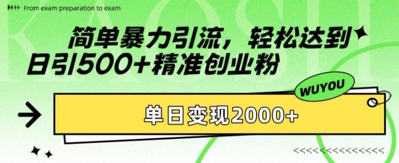 简单暴力引流，轻松达到日引500+精准创业粉，单日变现2k【揭秘】-搞钱日记