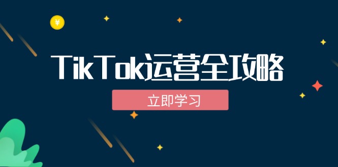 TikTok实战运营全攻略：从下载软件到变现，抖音海外版实操教程-搞钱日记