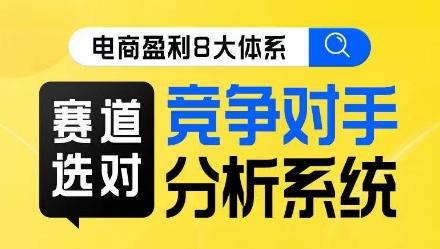 电商盈利8大体系·赛道选对，​竞争对手分析系统线上课-搞钱日记