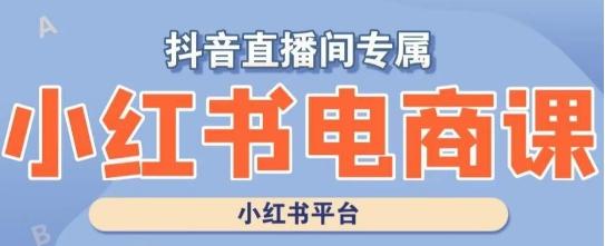 小红书电商高级运营课程，实操教学+案例分析-搞钱日记