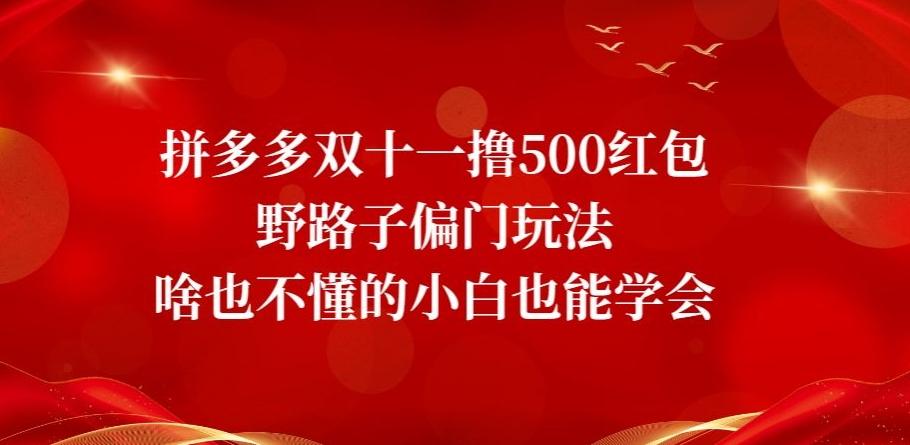 拼多多双十一撸500红包野路子偏门玩法，啥也不懂的小白也能学会【揭秘】-搞钱日记