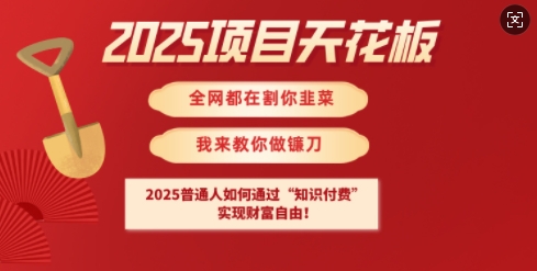 2025项目天花板普通人如何通过知识付费，实现财F自由【揭秘】-搞钱日记